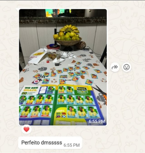 Print de conversa de cliente satisfeito